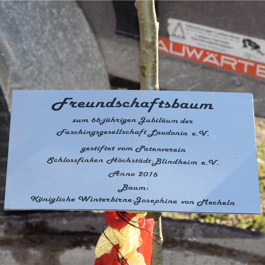 2016_baumsetzen.jpg 
