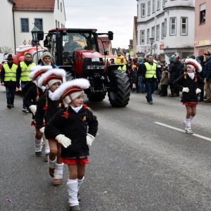 2018_umzug.jpg 