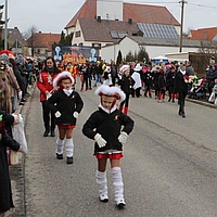 2019_umzug_donaualtheim.jpg 